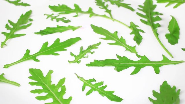 Eruca sativa garden rocket rucola rukola rucoli salad leaf texture
