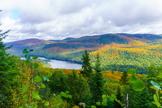 La Pimbina Valley In Mont Tremblant National Park