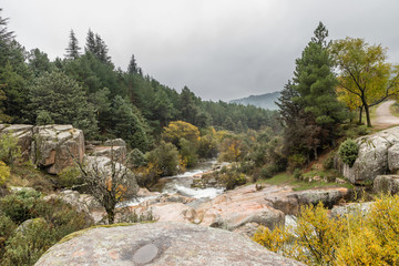 Autumn colors in the leaves of the trees in La Pedriza, in the Regional Park of the Manzanares of Madrid