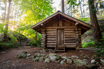 Log cabin in a forest in the summer in Lighthouse Park.