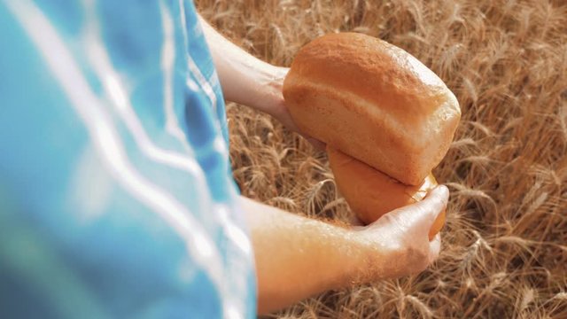 old farmer man baker holds a golden bread and loaf in lifestyle wheat field against the blue sky. slow motion video. successful agriculturist in field of wheat. harvest time. baker bread baking