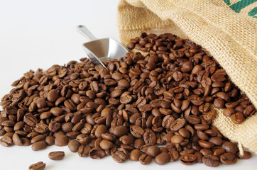 たくさんのコーヒー豆