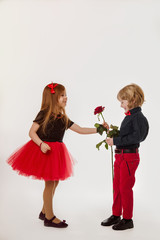 girl selects a rose gift from a boy, baby relationship, white background, isolated.