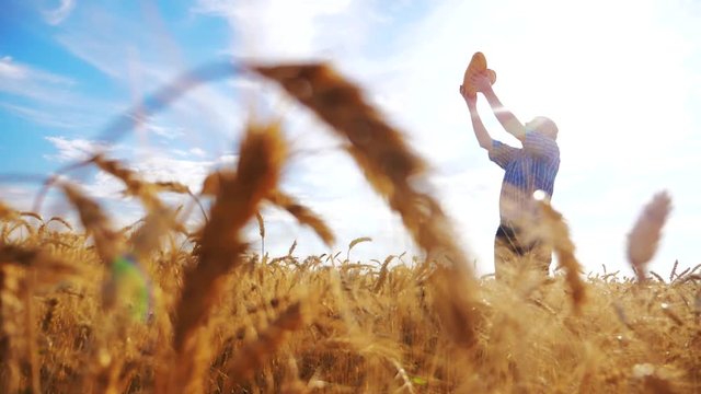old farmer man silhouette baker holds a golden bread and loaf in ripe wheat field against the blue sky. slow motion video. successful agriculturist in field of wheat. harvest time. old man baker