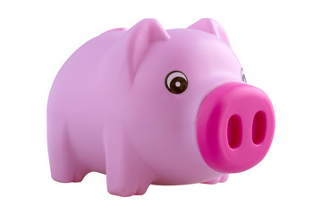 pink piggy bank