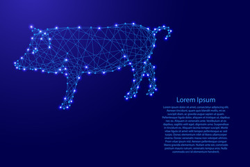 Pig is a symbol of the new year 2019 from futuristic polygonal blue lines and glowing stars for banner, poster, greeting card. Vector illustration.