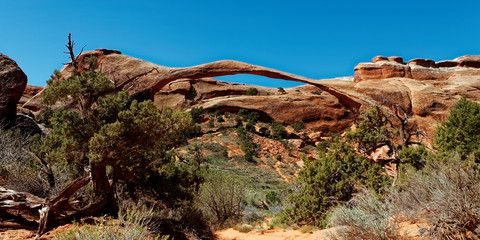 Landscape Arch, Arches national park, Utah, USA - 233715731