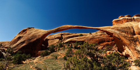 Landscape Arch, Arches national park, Utah, USA - 233716160