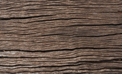 Fototapeta premium A blank plain wooden background