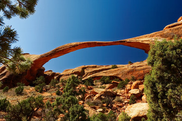 Landscape Arch, Arches national park, Utah, USA - 233716735