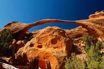 Landscape Arch, Arches national park, Utah, USA - 233717112