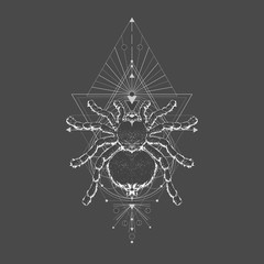 Vector illustration with hand drawn spider tarantula and Sacred geometric symbol on black vintage background. Abstract mystic sign.