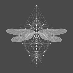 Vector illustration with hand drawn dragonfly and Sacred geometric symbol on black vintage background. Abstract mystic sign. 