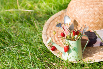 Watering can, wild strawberry, straw hat and garden tools