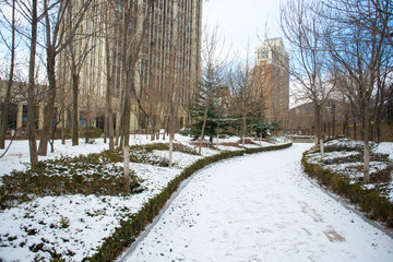 Snow on walkway on backyard in Seoul Korea