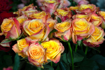 Bouquet of fresh roses.