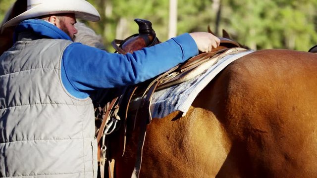 Cowboy in corral saddling his horse Dude Ranch Canada