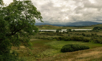 Fototapeta na wymiar landscape with trees lake and clouds