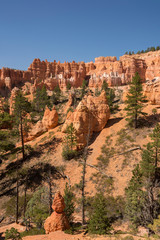 landscape on the bryce canyon in the united states of america