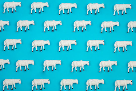 Creative and minimal pattern made of sheep. Blue background. Flat lay top view.