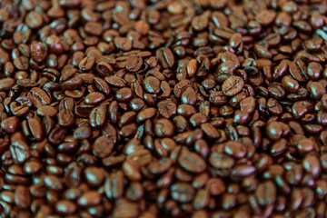 Selective focus to Coffee bean 