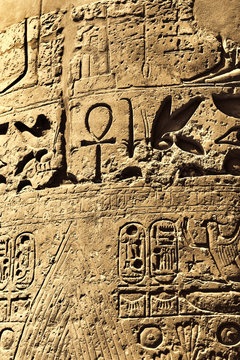 Ancient egyptian hieroglyphs in the Karnak Temple