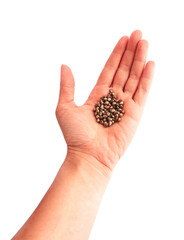 Cannabis seeds hold in a hand, isolated on white background.