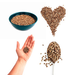 Cannabis seeds in hand, isolated on white background. Marijuana grains in a spoon, herbal treatment, seeds in a bowl.