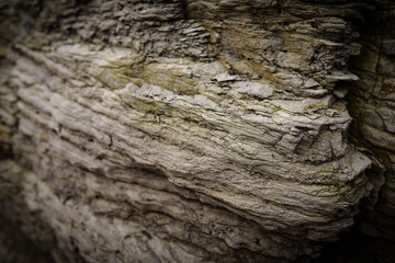 Surface of the rock. Selective focus.