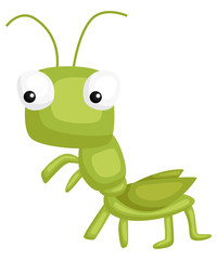 a vector of cute and adorable grasshopper
