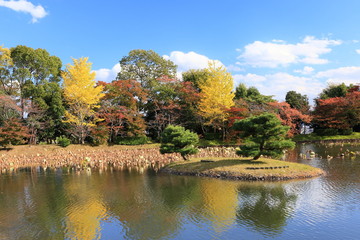 京都の紅葉　大沢の池