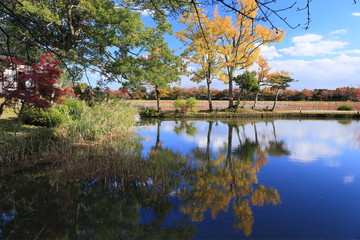Fototapeta na wymiar 京都の紅葉　大沢の池