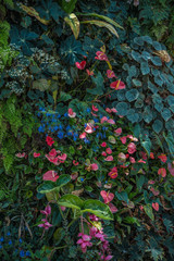 Gardens by the bay Singapore