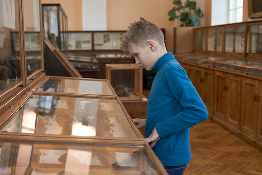 A teenager boy examines exhibits at the Museum of Natural History. A teenager boy exploring exhibits in the geological museum.