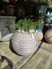 Plant pot