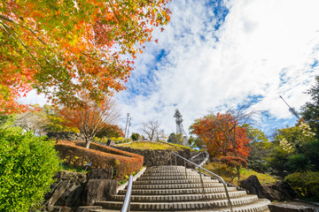 紅葉　眉山公園(徳島県徳島市)
