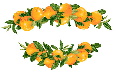 Vector headline decor elementwith grapefruit citrus branches
