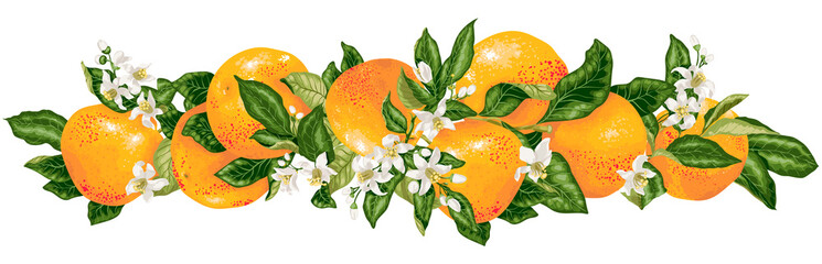 Vector headline decor elementwith grapefruit citrus branches - obrazy, fototapety, plakaty
