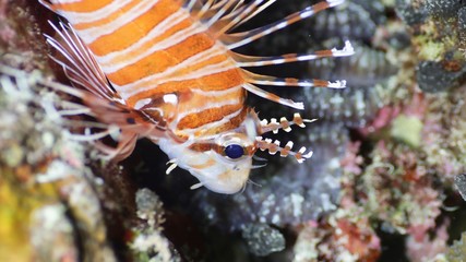 Around.Travel Maldives 2018