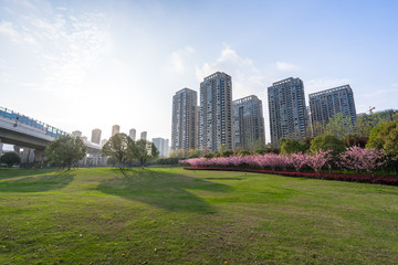 Obraz premium view of city