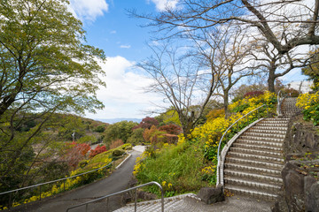 秋の眉山公園(徳島県徳島市)