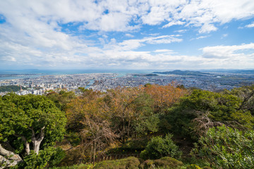 徳島県徳島市街並み　秋の眉山公園から撮影
