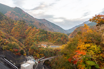 autumn in the mountains