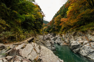 river in the mountains