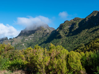 Levada trails on the south side of Madeira