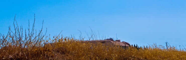 Roof landscape