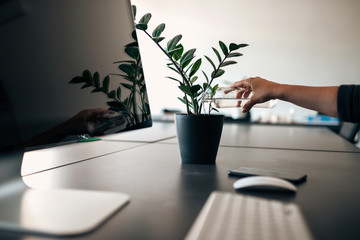 Close-up image of female office worker watering a plant.