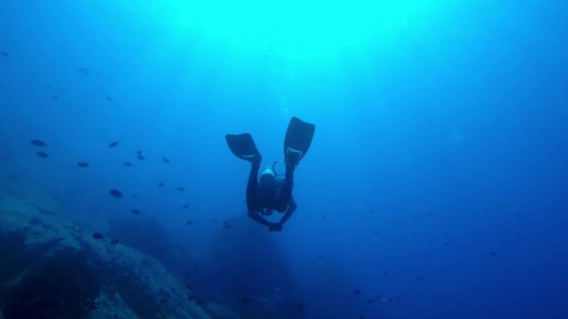 Silhouetted diver floats in the water under blue light, turns and looks at camera
