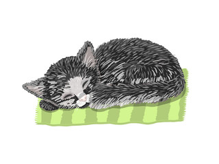 Little black kitten sleeping on the mat. Vector illustration, isolated.