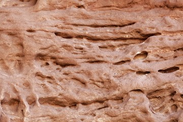 Tafoni weathering in red natural sandstone wall.